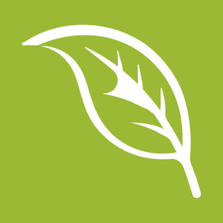 NEUTRAL Fairtrade Men Sweatshirt , 100 % Bio-Baumwolle Herren