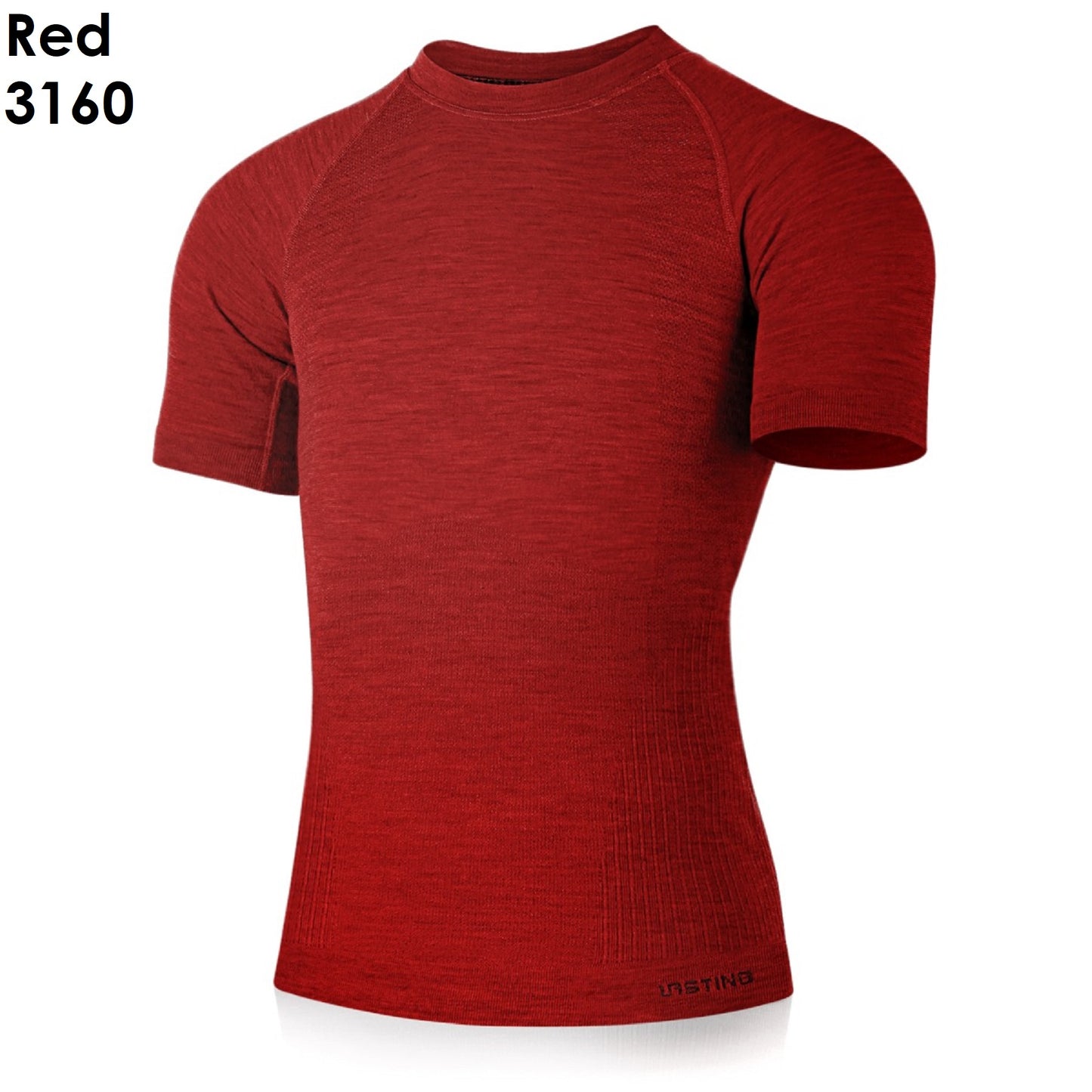 Lasting MABEL Men's T-Shirt Short Sleeve MERINO WOOL - NYLON Men's